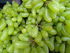 seedless grapes