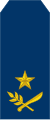 Brigade General