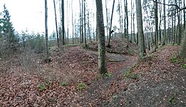 Blick auf die Burgstelle von Nordosten, mittig der Wanderweg über die Burgstelle