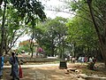 Bannerghatta National Park