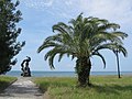 Pitsunda beach with statue of Medea