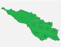 Elecciones municipales de San José de 2006