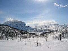 Deep snow at the treeline, Junkerdal National Park