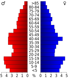 Schéma représentant la population du comté, par tranche d'âge. En rouge, à gauche, les femmes, en bleu à droite, les hommes.