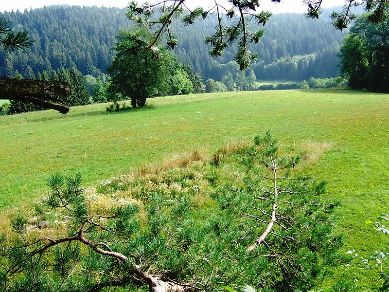 File:Wernberg Terlach Viereckschanze 04082007 01.jpg