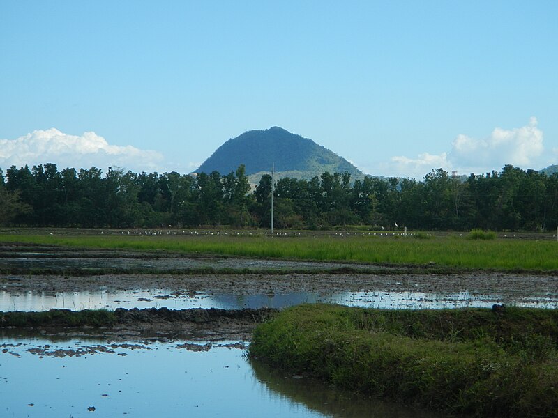 File:06508jfCarmay East West Flowers Rizal Rosales Pangasinan Bridge Roadfvf 22.JPG