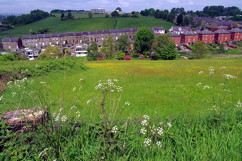 File:29.5.16 Huddersfield 08 (27070303170).jpg