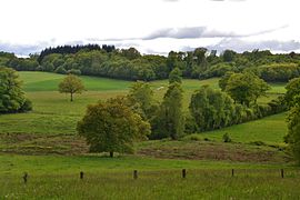 Rural landscape of semi-bocage.