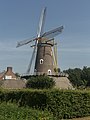 Oirschot, moulin: windmolen de Korenaar