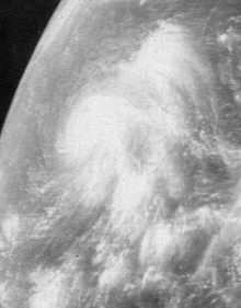 Wendy1971sep72339z.gif