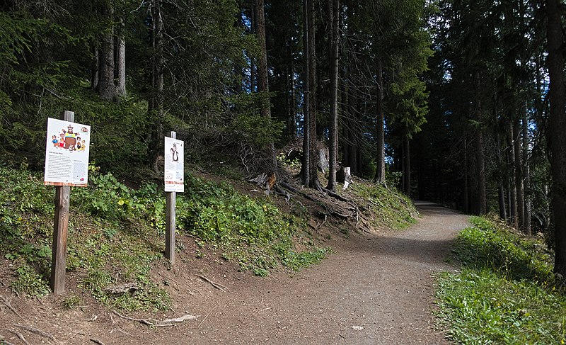 File:Arosa - Squirrel Trail.jpg