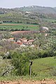 Balinović - panorama