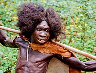 Homo erectus, o primeiro a usar o fogo.