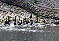 Near Cap Bon-Ami, Quebec