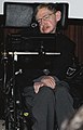 Stephen Hawking interpreta se stesso