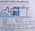 Semiclosed IC engine cooling system