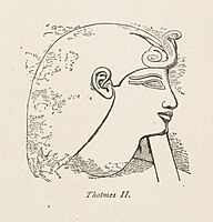 Một bản phác thảo từ một đền thờ của Thutmosis II. Ông được coi là một người cai trị yếu đuối, ông đã kết hôn với em gái của mình là Hatshepsut. Ông đã đặt tên cho Thutmosis III, con trai ông làm người kế nhiệm để ngăn chặn việc Hatshepsut đoạt lấy ngai vàng. Họ đã có một người con gái là Neferure.