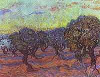 Vincent van Gogh: Olivenhain (1889)