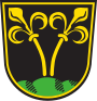 Traunstein – znak