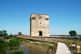 La tour Carbonnière.