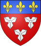 Wapen van Orléans