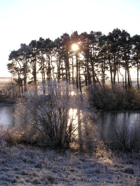 File:Christmas Eve morning Lindean Reservoir - geograph.org.uk - 768702.jpg