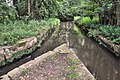 Hanhofer Wasser­gescheid aus Osten: Woogbach-Ursprung (nach rechts vorne)