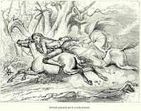 Ichabod Crane pronásledován bezhlavým jezdcem, ilustrace k povídce Ospalá díra, autor: F. O. C. Darley