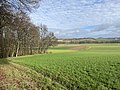 Waldstück mit erhaltenem Teil der Landwehr, die von hier bis zum Weiler Hippelsbach, auf der anderen Seite des Gersprenztals verlief