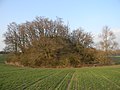 Motte castrale de Saint-Jean-de-Thurigneux