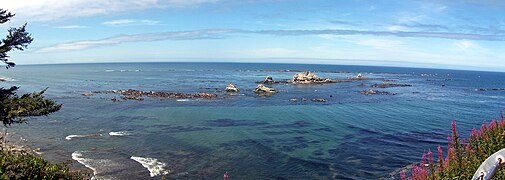 Simpson Reef near Coos Bay