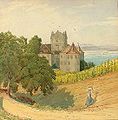 Vignoble du lac de Constance XIXe