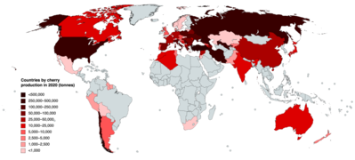 Countries by cherry production in 2020.png