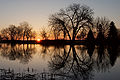 "Sunrise_over_Veterans_Park_2420.jpg" by User:Dori