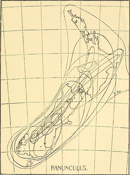 File:The course of evolution by differentiation or divergent mutation rather than by selection (1940) (20675980086).jpg