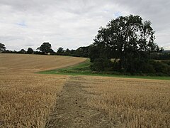 View downhill to The Spa - geograph.org.uk - 6325837.jpg