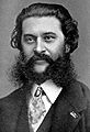 Johann Strauss (fils)