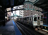 Pink Line (CTA)