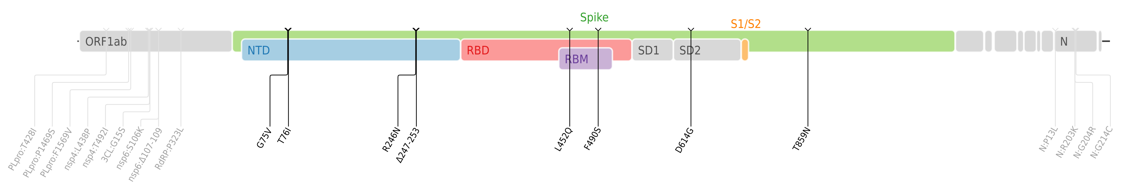 Amino acid mutations of SARS-CoV-2 Lambda variant plotted on a genome map of SARS-CoV-2 with a focus on the spike.[7]