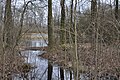 Naturdenkmal Timmermoor in Hamburg-Bergstedt, Blick von Westen