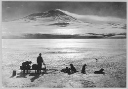 A dog-sledge team with Erebus in the background RMG E0870.tiff