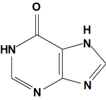 Hypoxanthine