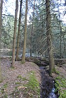 Ziegeleikuhlen bei Wietzendorf