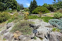 Alpine garden