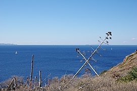 Greece Cape Sounion BW 2017-10-09 10-57-14.jpg