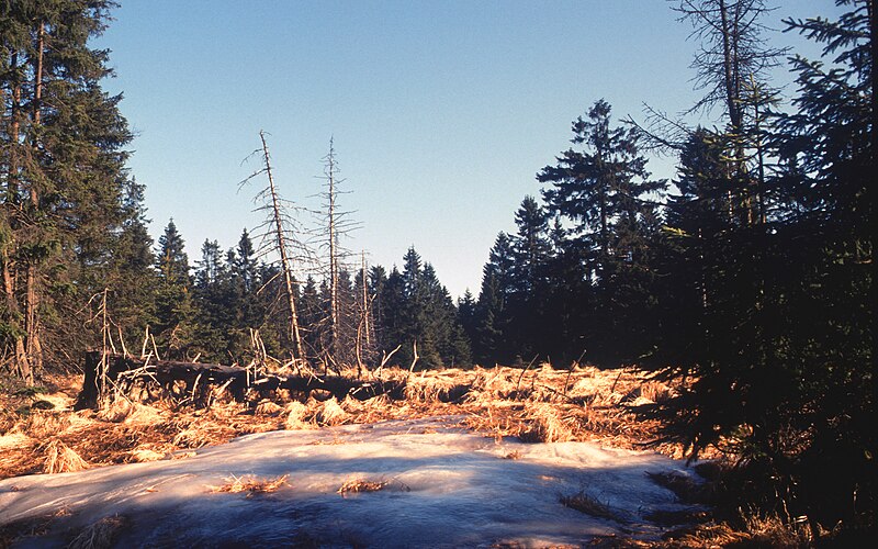 File:Harz 1989.JPG