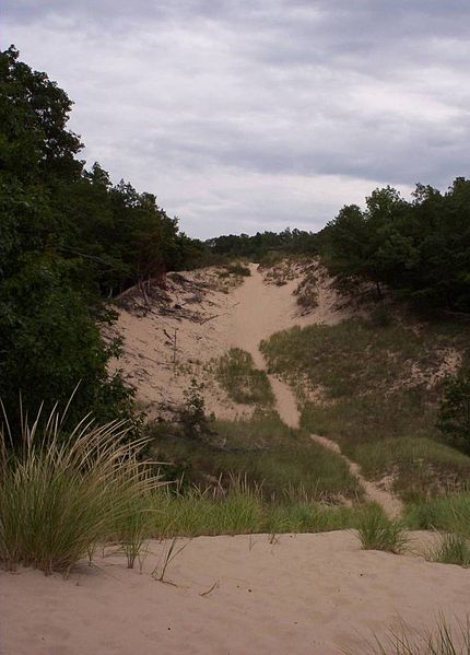 File:Hoffmaster parabolic dune.jpg