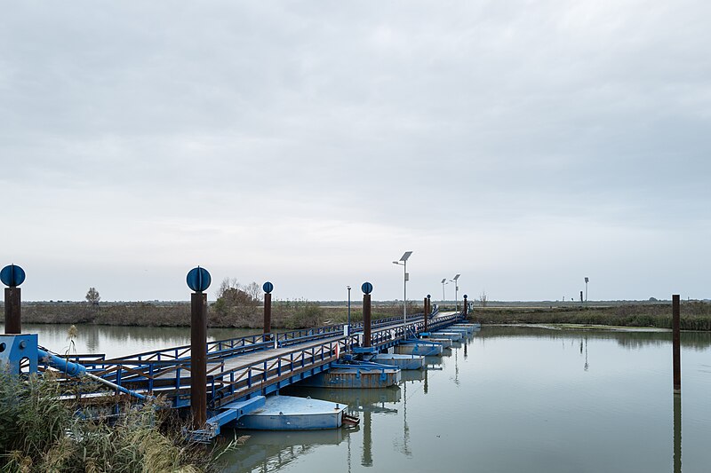 File:Ponte di Barche sul Po di Maistra - Porto Tolle, Rovigo, Italia - 21 Ottobre 2022.jpg