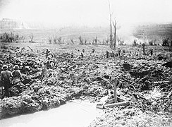 Ypres, June 1917