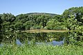 Naturschutz- und Natura-2000-Gebiet Werraaue Treffurt